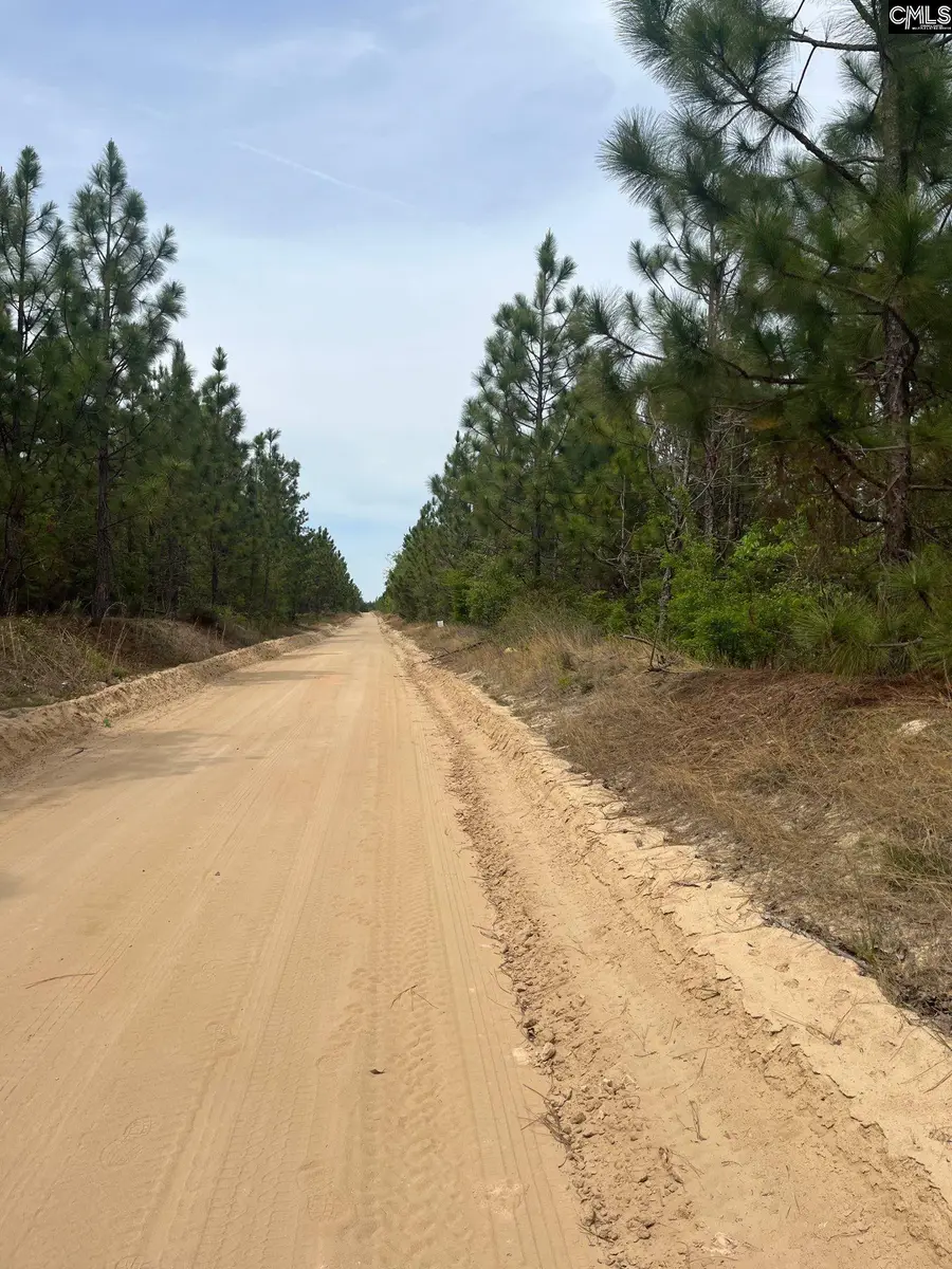 BDF 6 Beaverdam Road, Cassatt, SC 29032 - #3