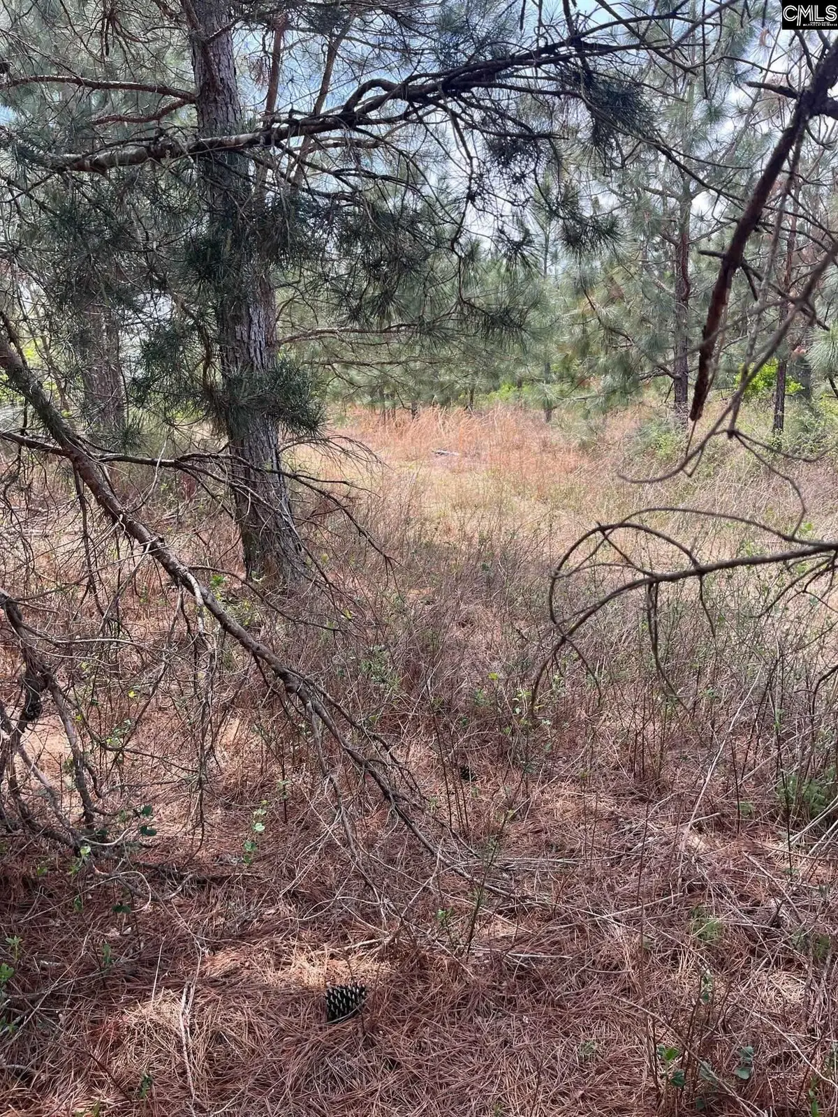 BDF 7 Beaverdam Road, Cassatt, SC 29032 - #1