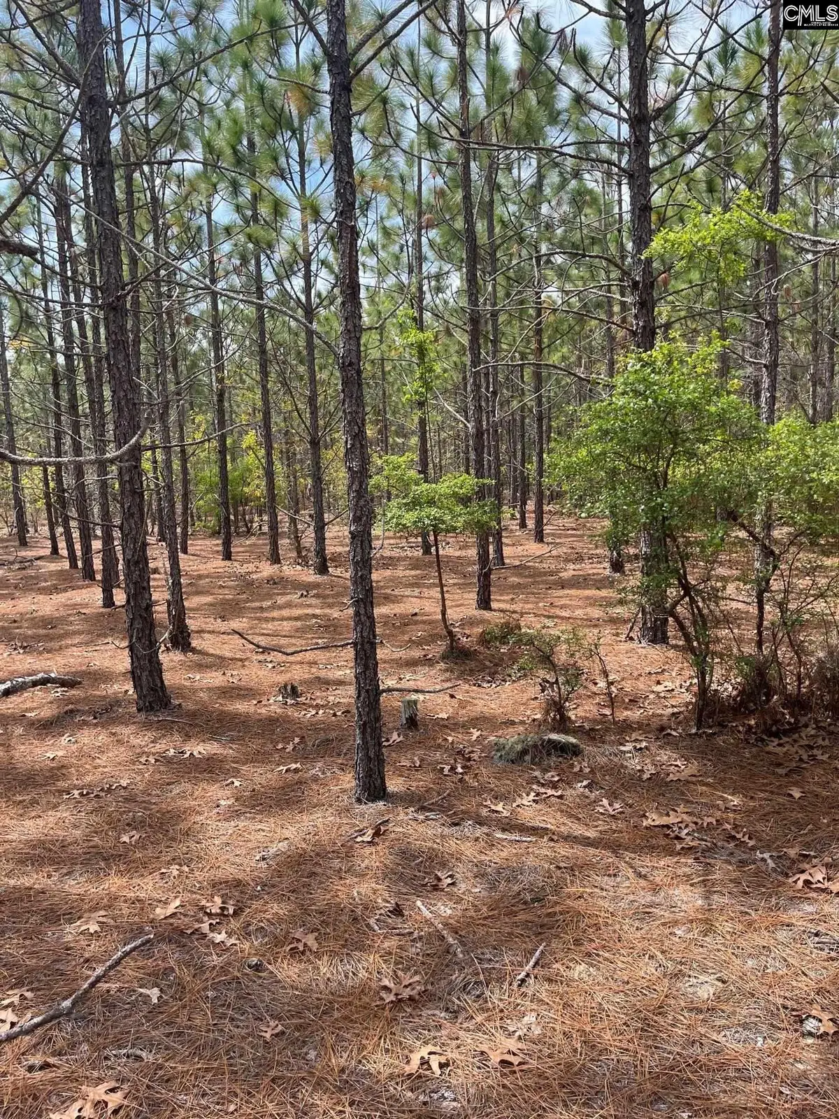 BDF 8 Beaverdam Road, Cassatt, SC 29032 - #1