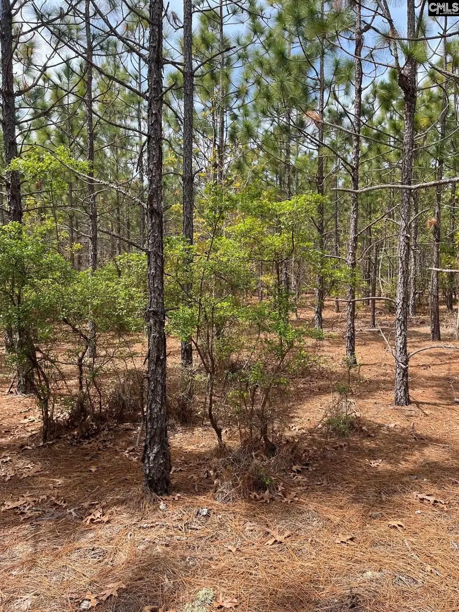 BDF 8 Beaverdam Road, Cassatt, SC 29032 - #2