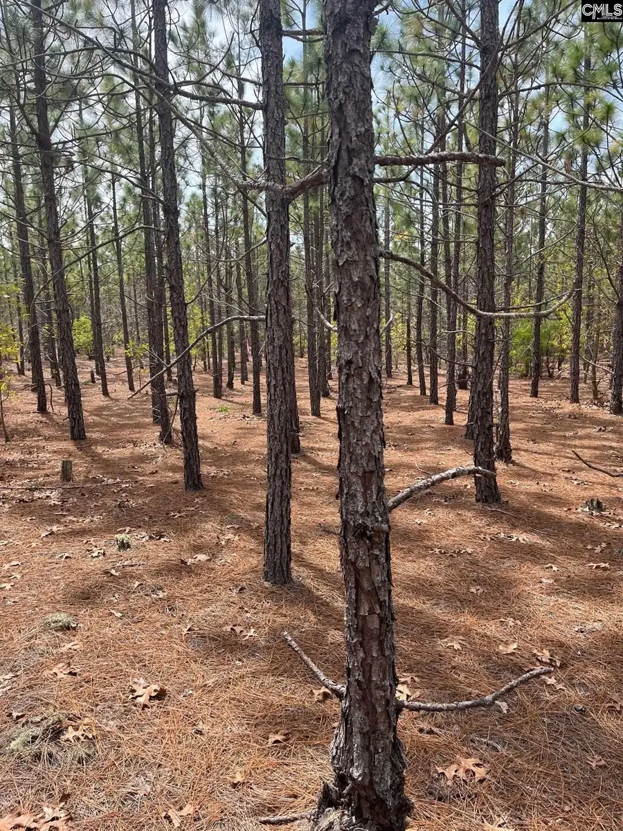 BDF 8 Beaverdam Road, Cassatt, SC 29032 - #3