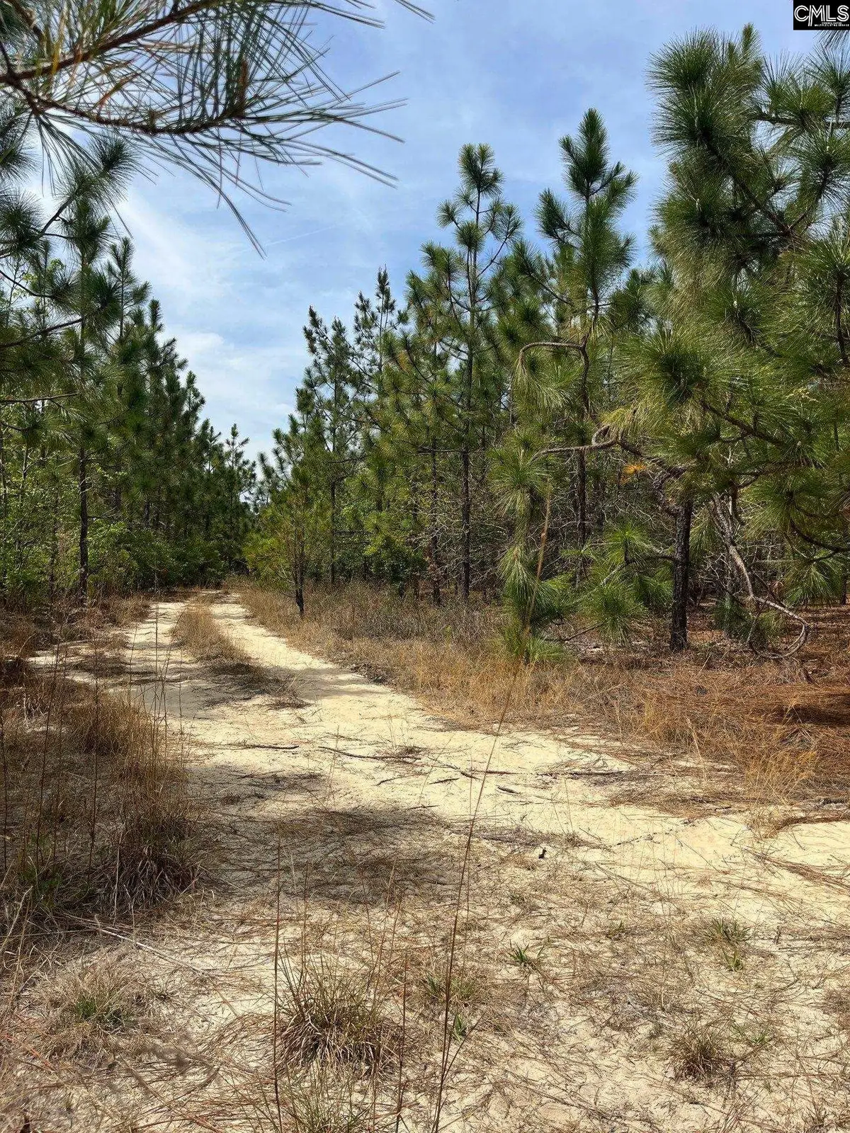 BDF 9 Beaverdam Road, Cassatt, SC 29032 - #1