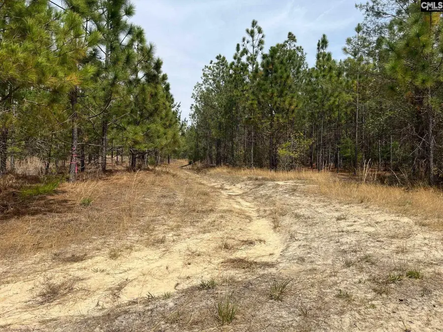 BDF 9 Beaverdam Road, Cassatt, SC 29032 - #3