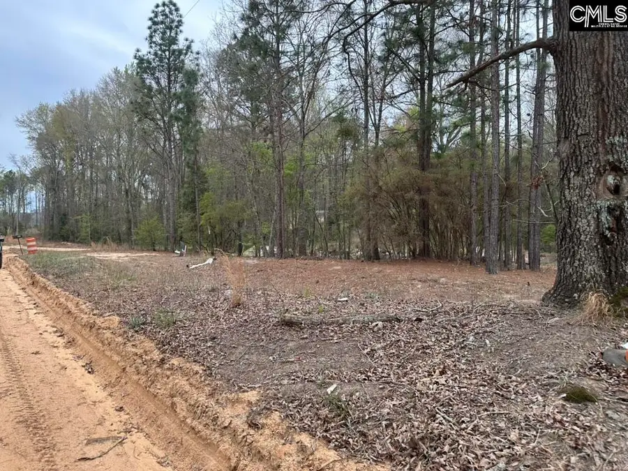 344 Terry Road, Pelion, SC 29123 - #2