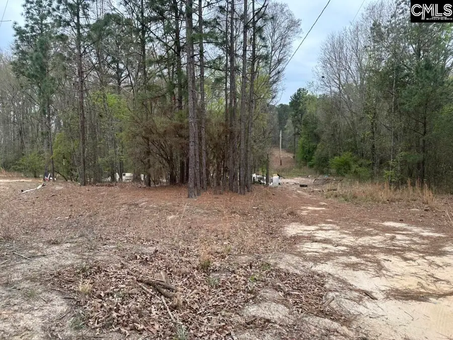 344 Terry Road, Pelion, SC 29123 - #3