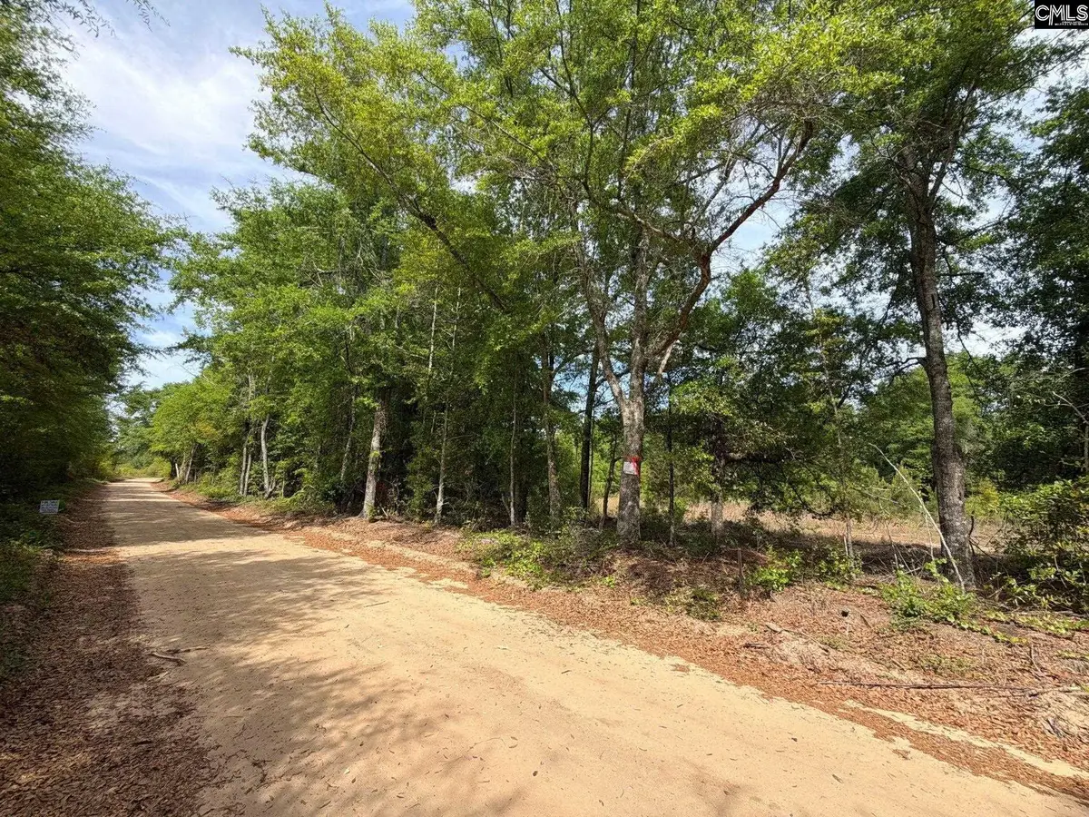 RRF 2 Rogers Cemetery Road, Salley, SC 29137 - #1