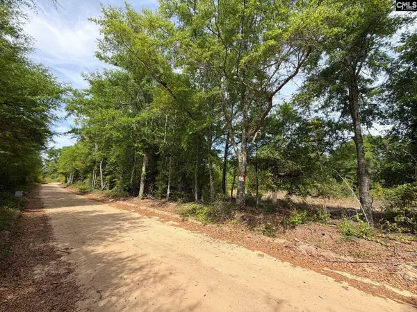 RRF 2 Rogers Cemetery Road, Salley, SC 29137