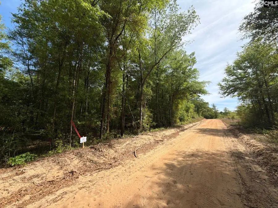 RRF 2 Rogers Cemetery Road, Salley, SC 29137 - #2