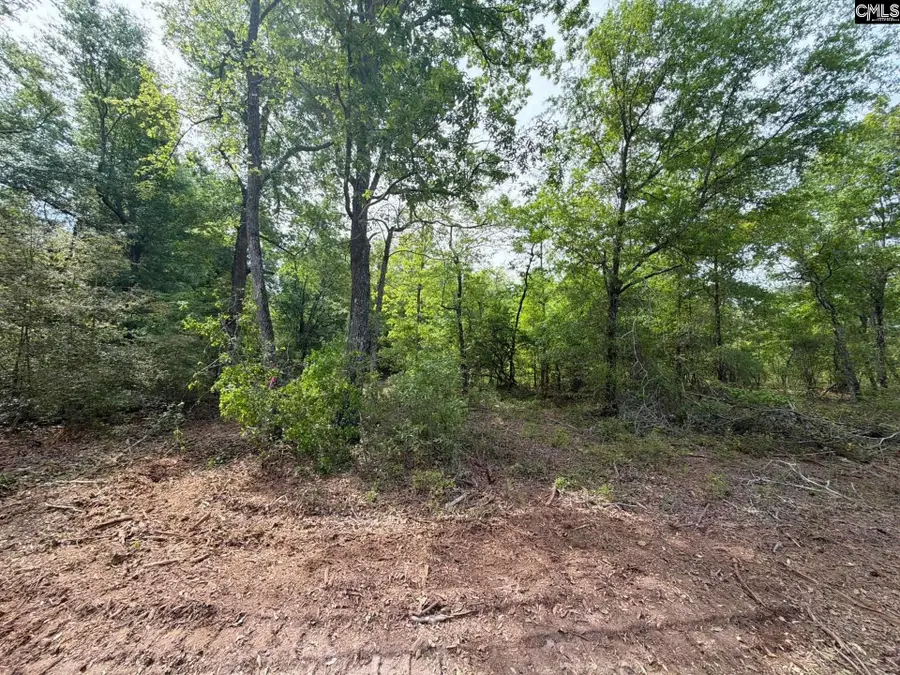 RRF 2 Rogers Cemetery Road, Salley, SC 29137 - #3