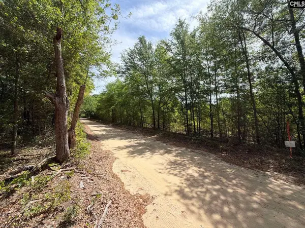 RRF 5 Rogers Cemetery Road, Salley, SC 29137