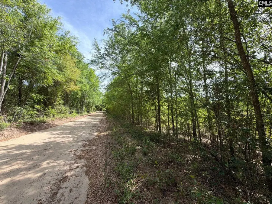 RRF 5 Rogers Cemetery Road, Salley, SC 29137 - #2