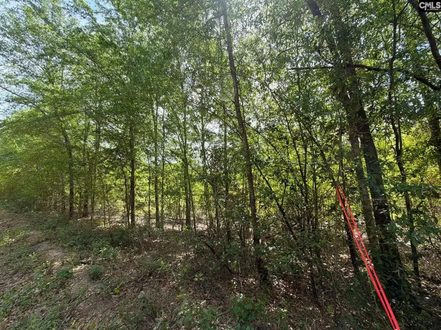 RRF 5 Rogers Cemetery Road, Salley, SC 29137 - #3