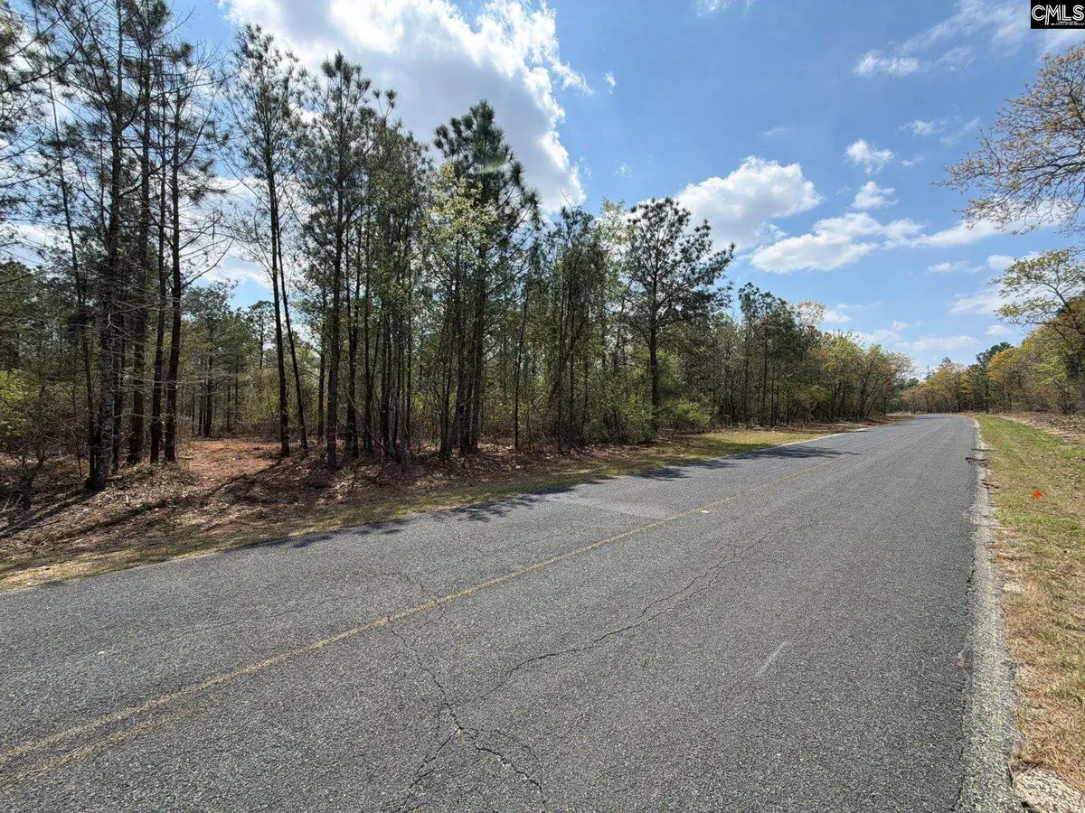 CA 3 Mt. Calvary Road, Ridge Spring, SC 29129 - #1