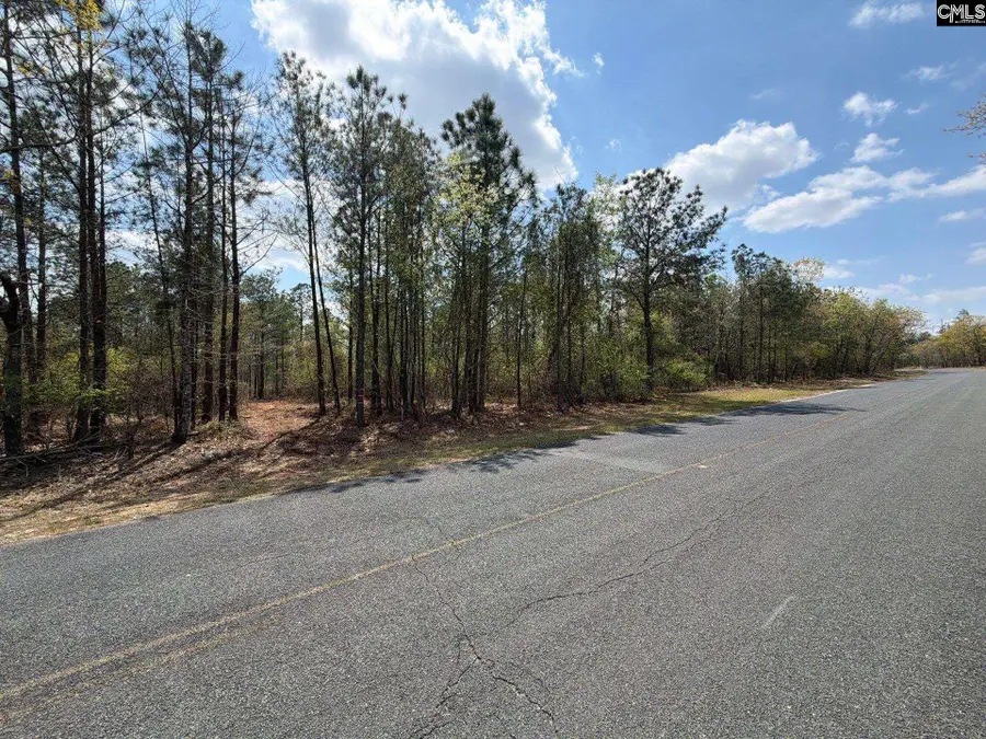 CA 3 Mt. Calvary Road, Ridge Spring, SC 29129 - #2