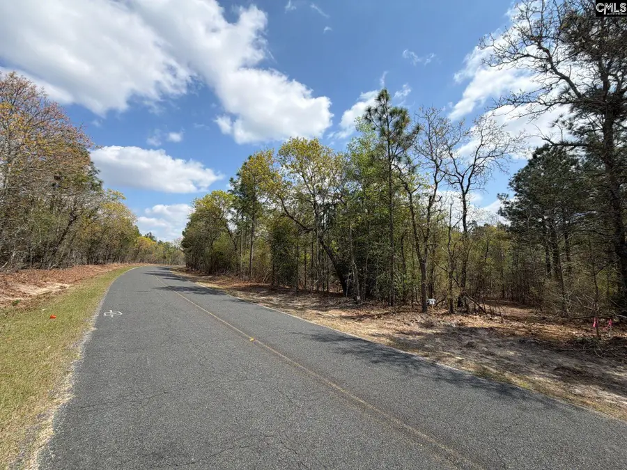 CA 3 Mt. Calvary Road, Ridge Spring, SC 29129 - #3
