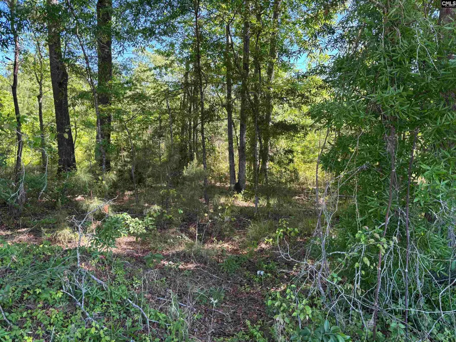 0 Pond Dr., Saint George, SC 29477 - #3