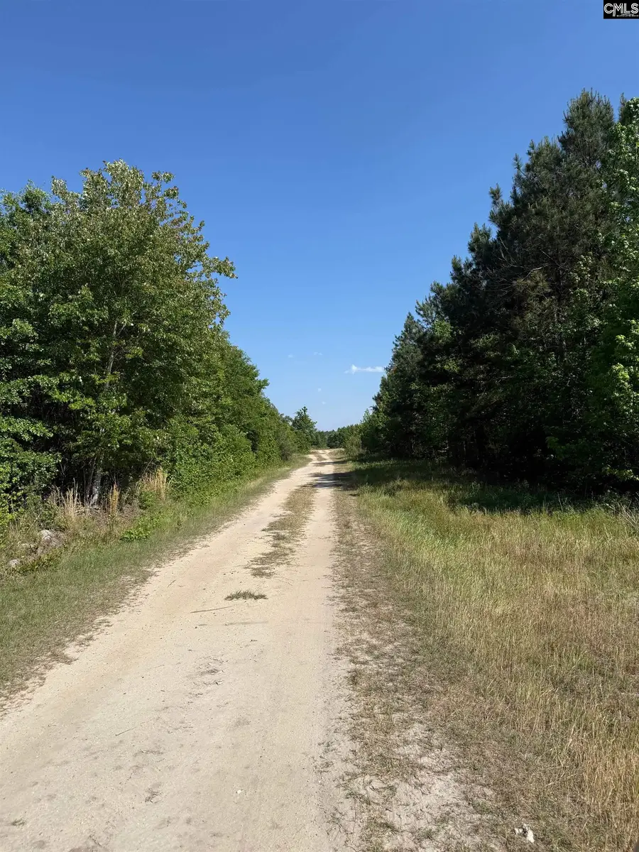 GMF B Young Road #GMF B, Timmonsville, SC 29161 - #2