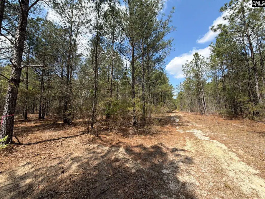 CA 4 Mt. Calvary Road, Ridge Spring, SC 29129 - #2
