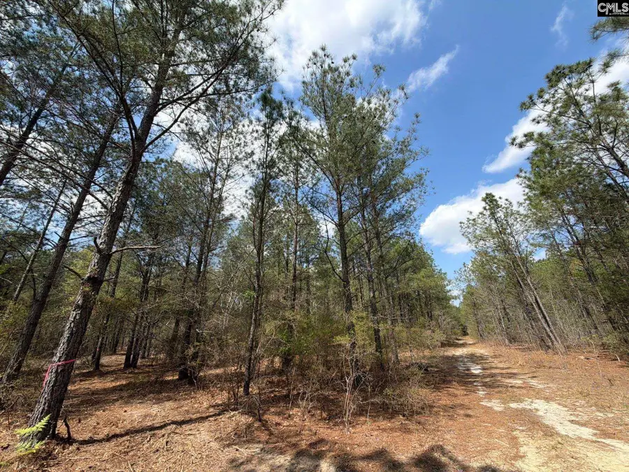 CA 4 Mt. Calvary Road, Ridge Spring, SC 29129 - #3