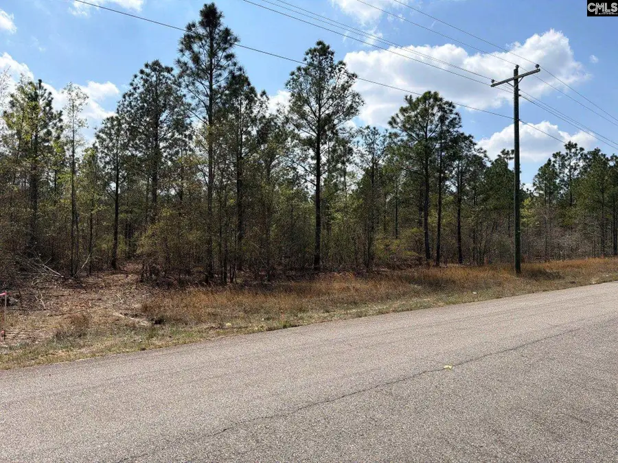 CA 7 Mt. Calvary Road, Ridge Spring, SC 29129 - #2