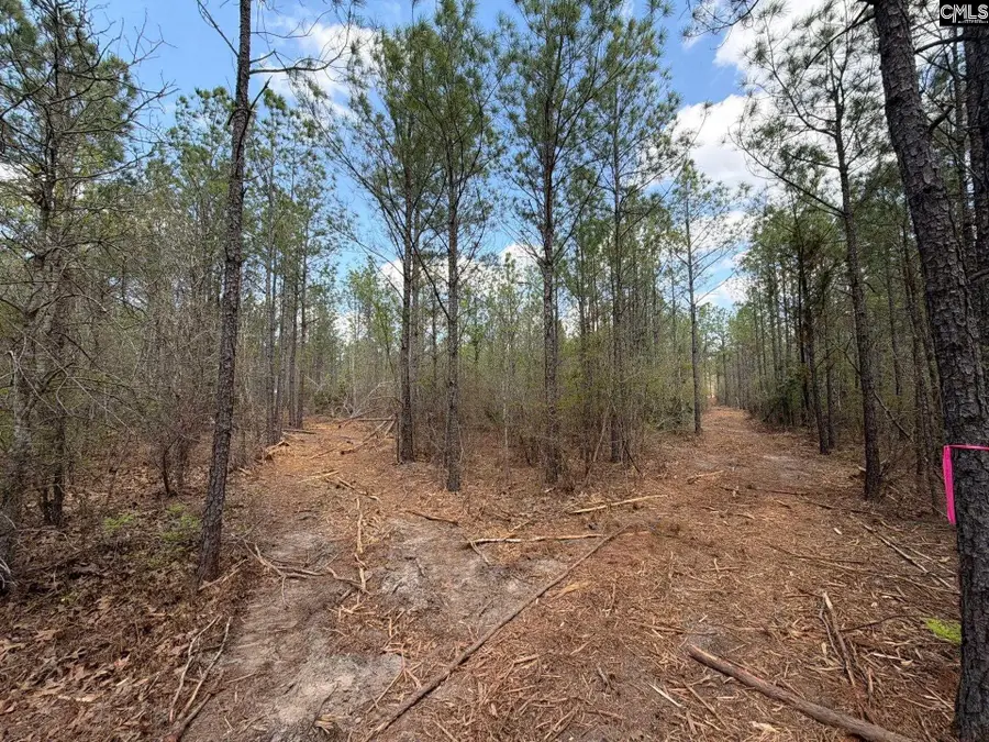 CA 7 Mt. Calvary Road, Ridge Spring, SC 29129 - #3