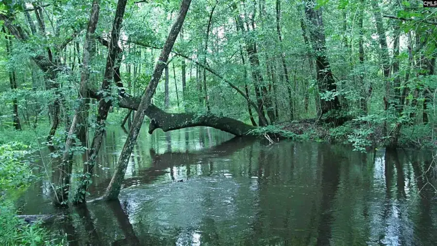 1017 Blackbird Road, Wagener, SC 29164 - #2