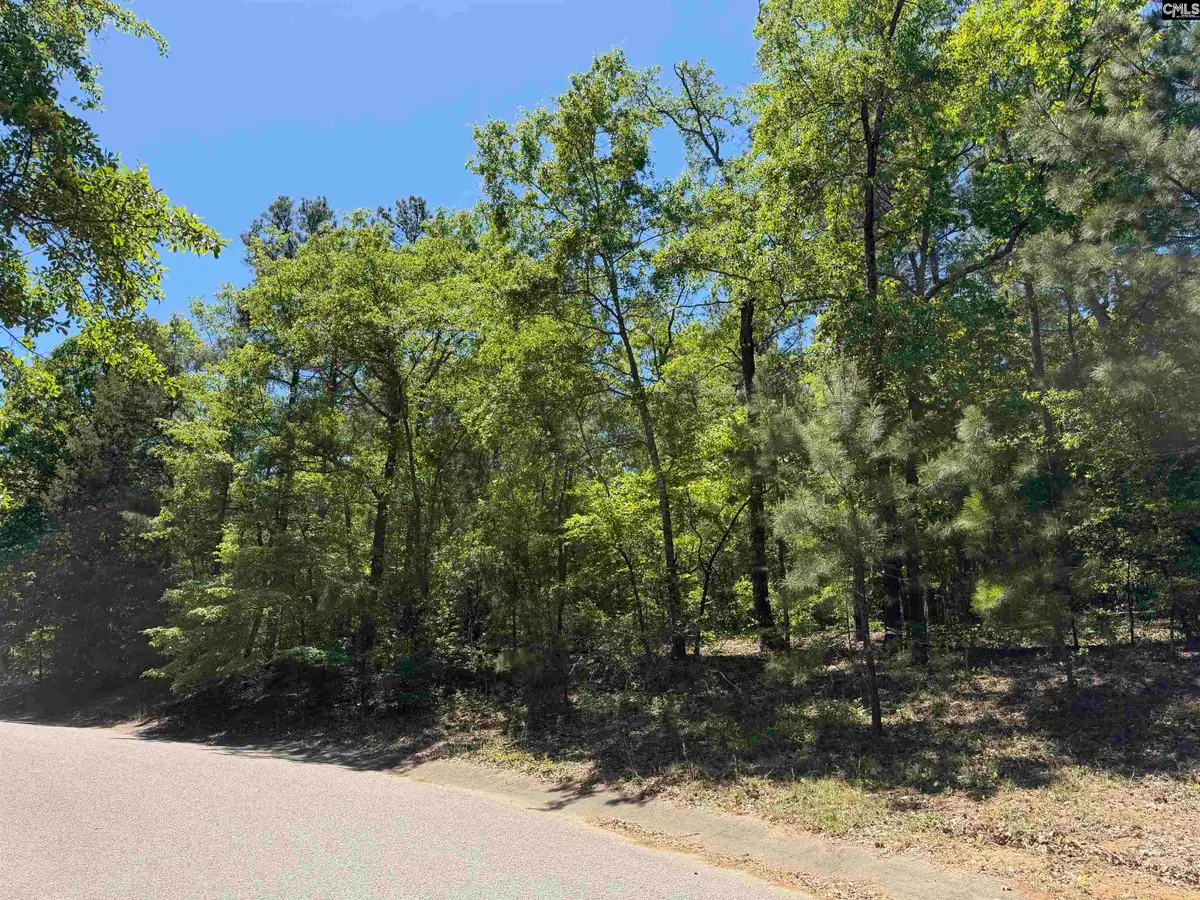 170 Lake Mallard Lane, Camden, SC 29020 - #1