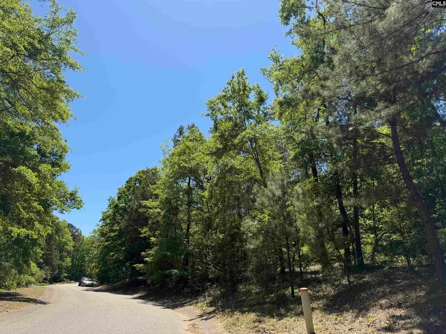 170 Lake Mallard Lane, Camden, SC 29020 - #2