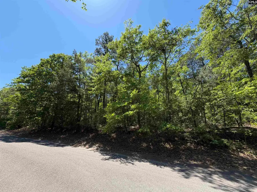 170 Lake Mallard Lane, Camden, SC 29020 - #3