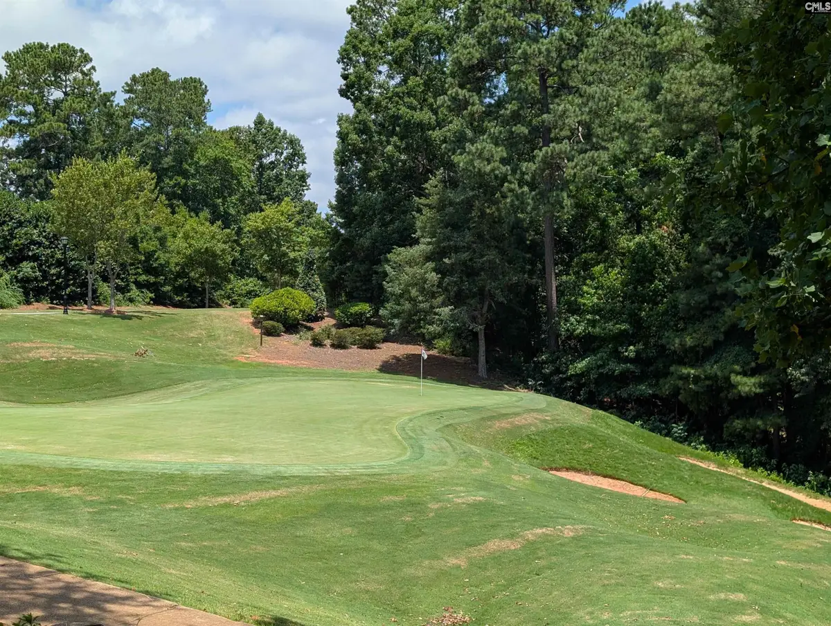 1060 Coogler Crossing Drive, Blythewood, SC 29016 - #1