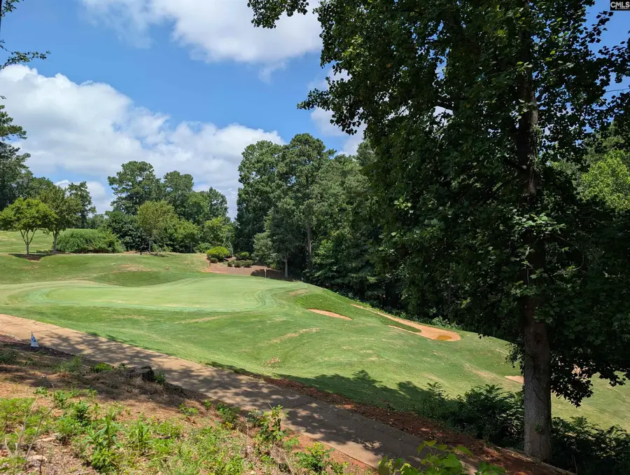 1060 Coogler Crossing Drive, Blythewood, SC 29016 - #3