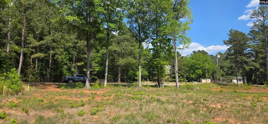 TBD Trade Mill Road, Winnsboro, SC 29180 - #3