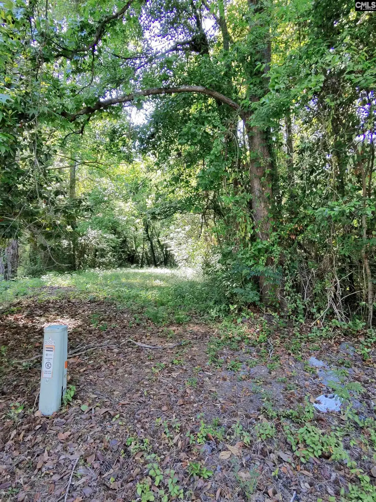TBD Lang Road, Columbia, SC 29204 - #1