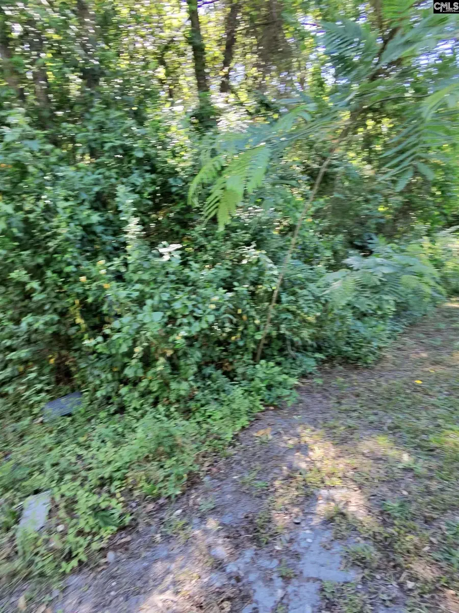 TBD Lang Road, Columbia, SC 29204 - #2