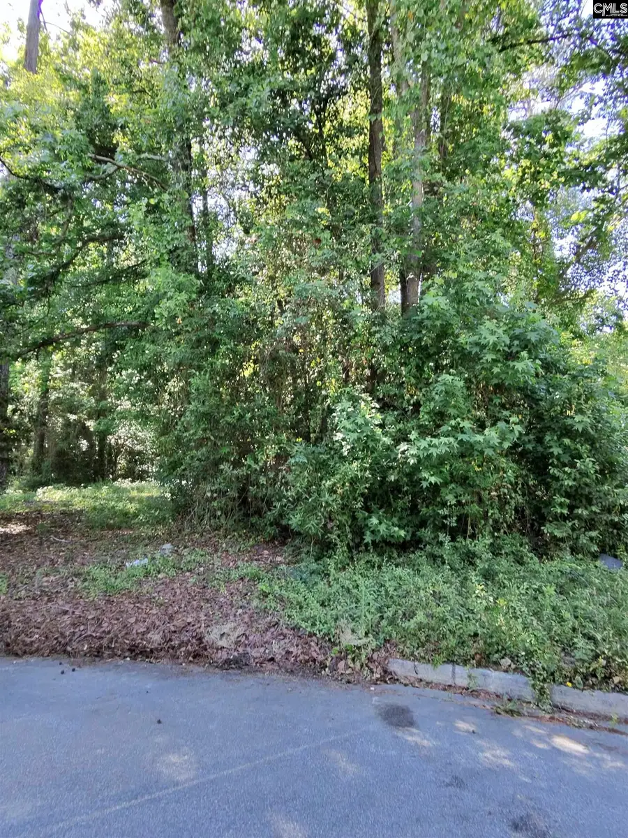 TBD Lang Road, Columbia, SC 29204 - #3