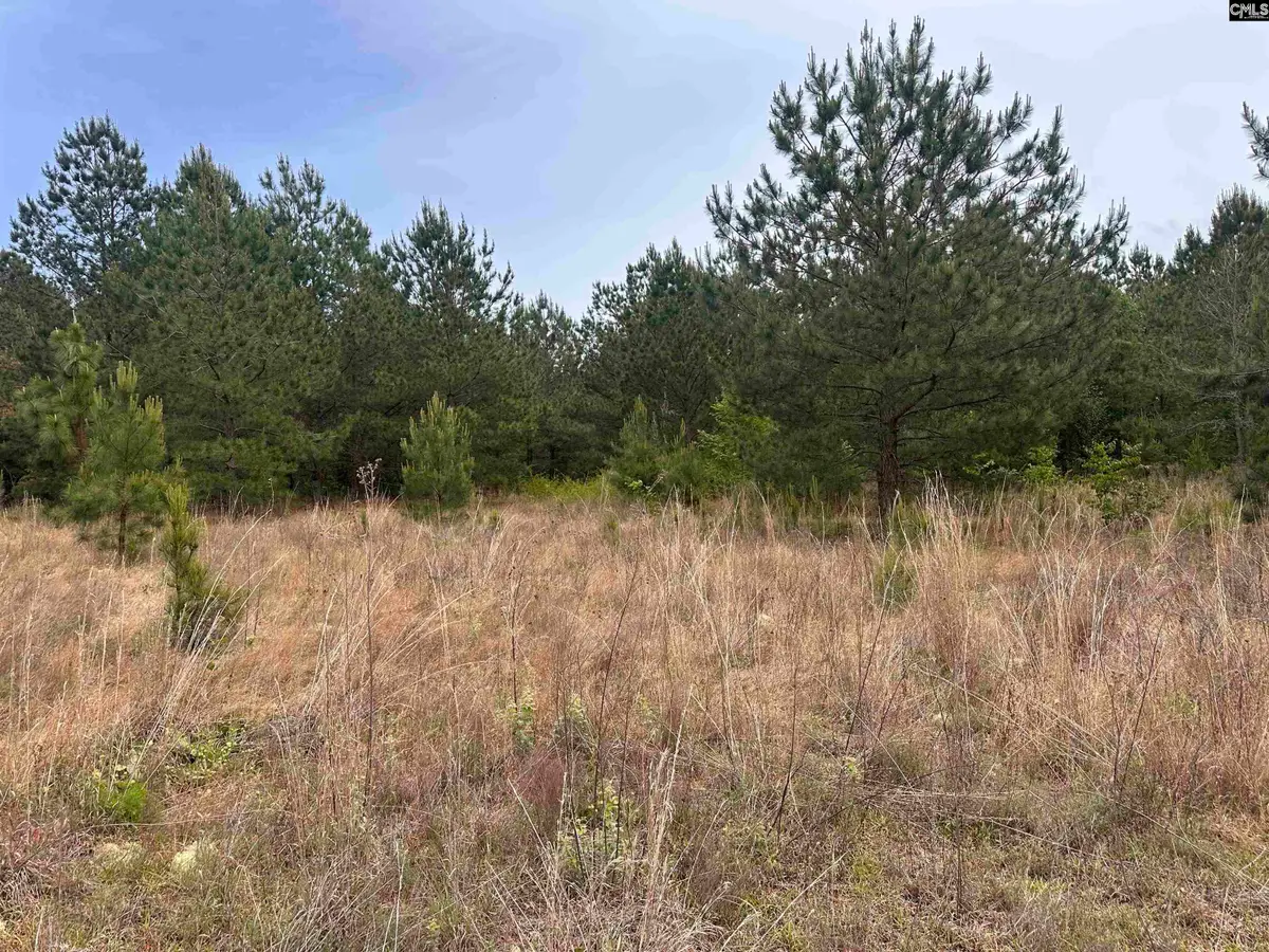 Tract 3 Patrick Highway, Hartsville, SC 29550 - #1