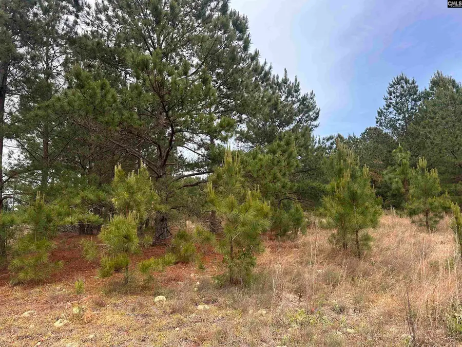 Tract 3 Patrick Highway, Hartsville, SC 29550 - #2