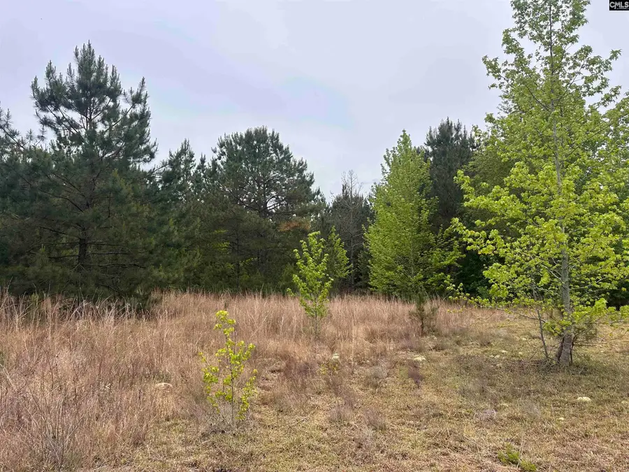 Tract 3 Patrick Highway, Hartsville, SC 29550 - #3