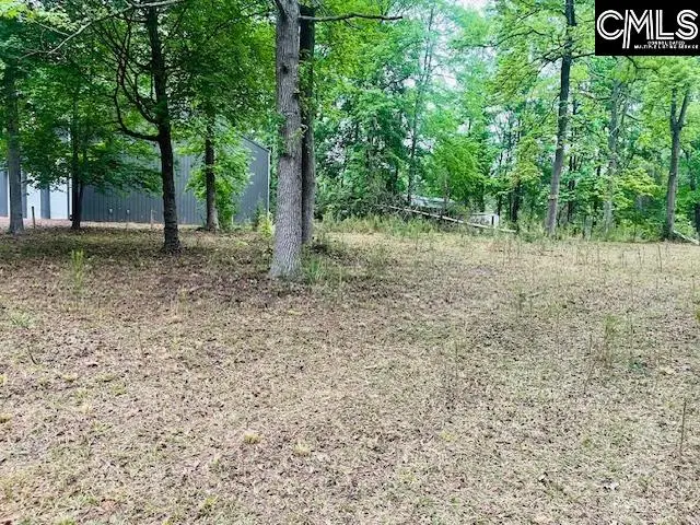 1172 Lake Drive, Leesville, SC 29070 - #2