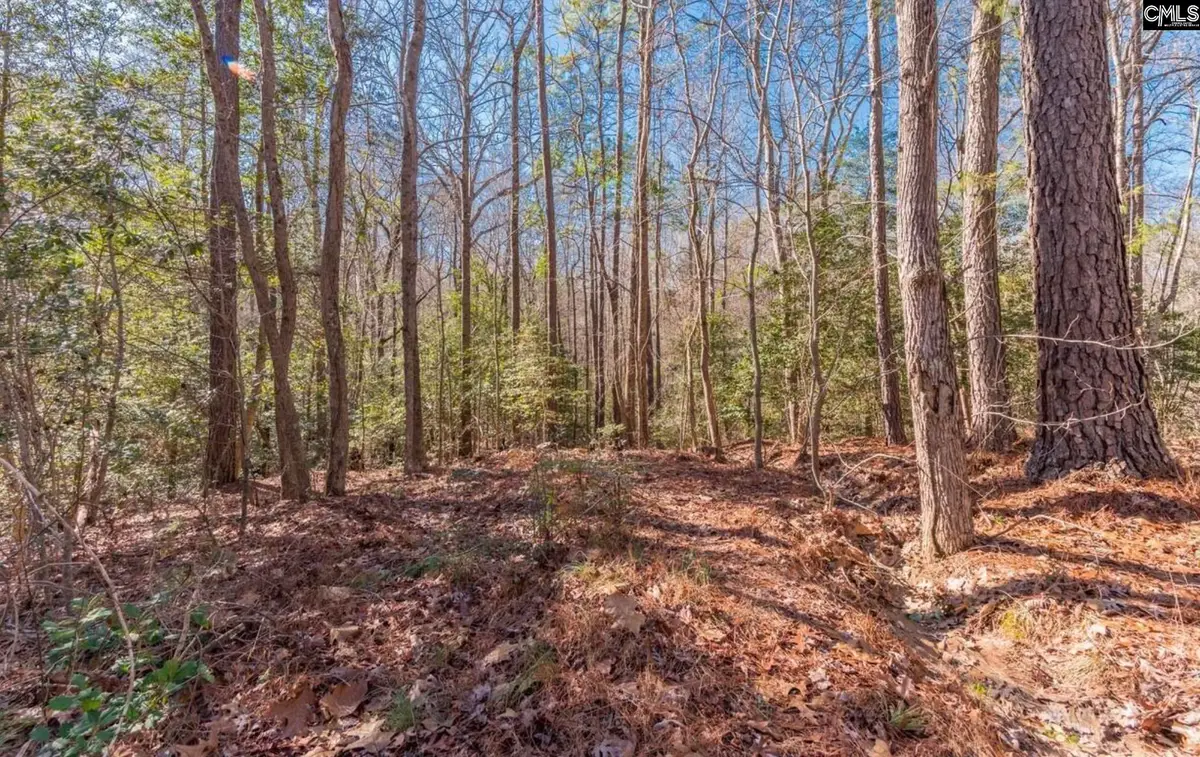 0 Morgan Drive, Lexington, SC 29072 - #1