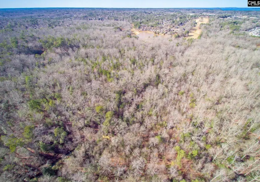 0 Morgan Drive, Lexington, SC 29072 - #2