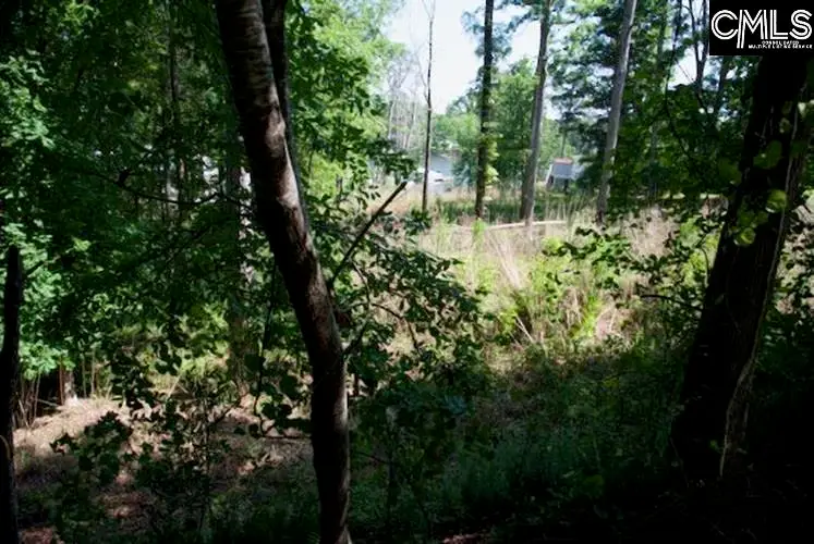 415 Alice Harris Road, Prosperity, SC 29127 - #1