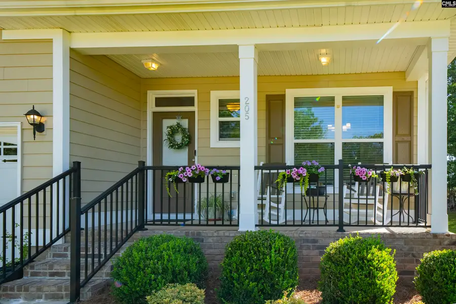 205 Quiet Cove Court, Chapin, SC 29036 - #2
