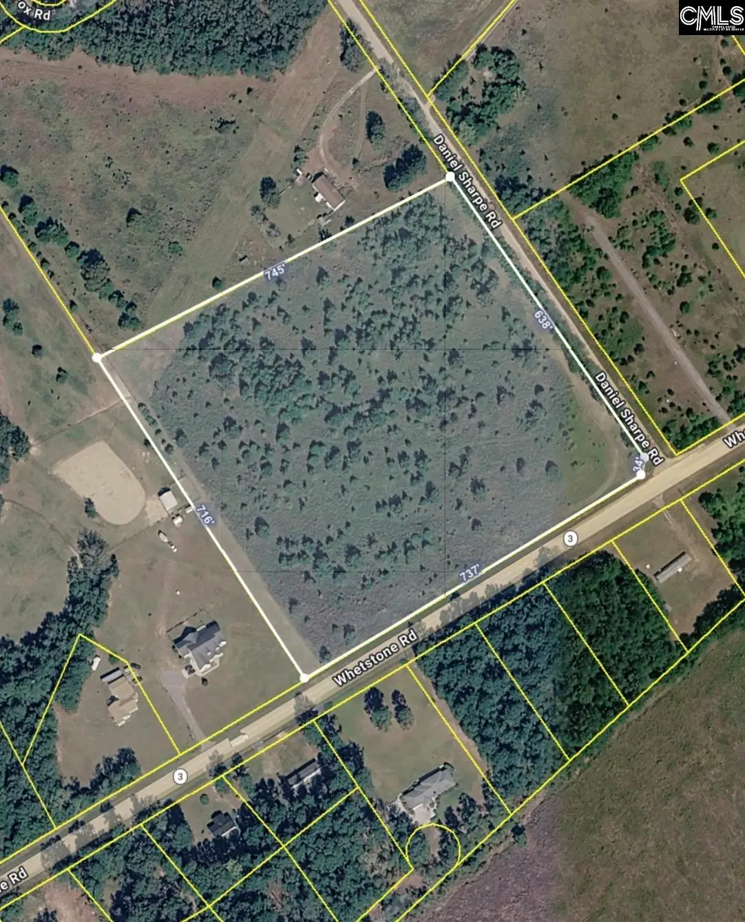 1000 Whetstone Drive, Swansea, SC 29160 - #1