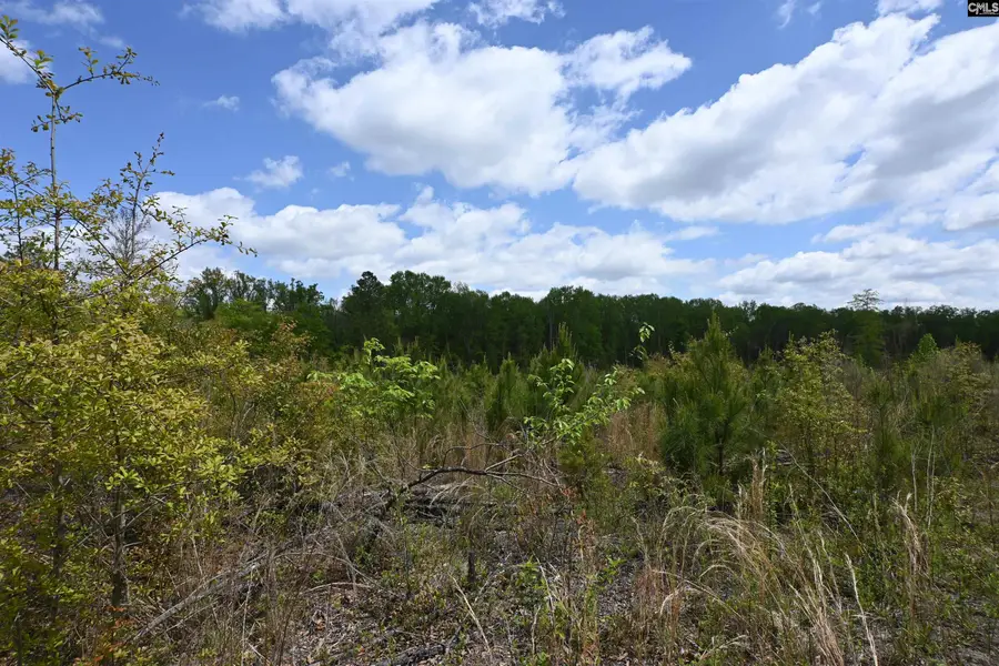 0 Platt Springs Road, West Columbia, SC 29169 - #2