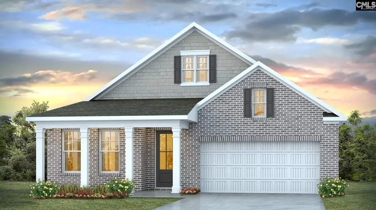 248 Livingston Woods Drive, Irmo, SC 29063 - #1