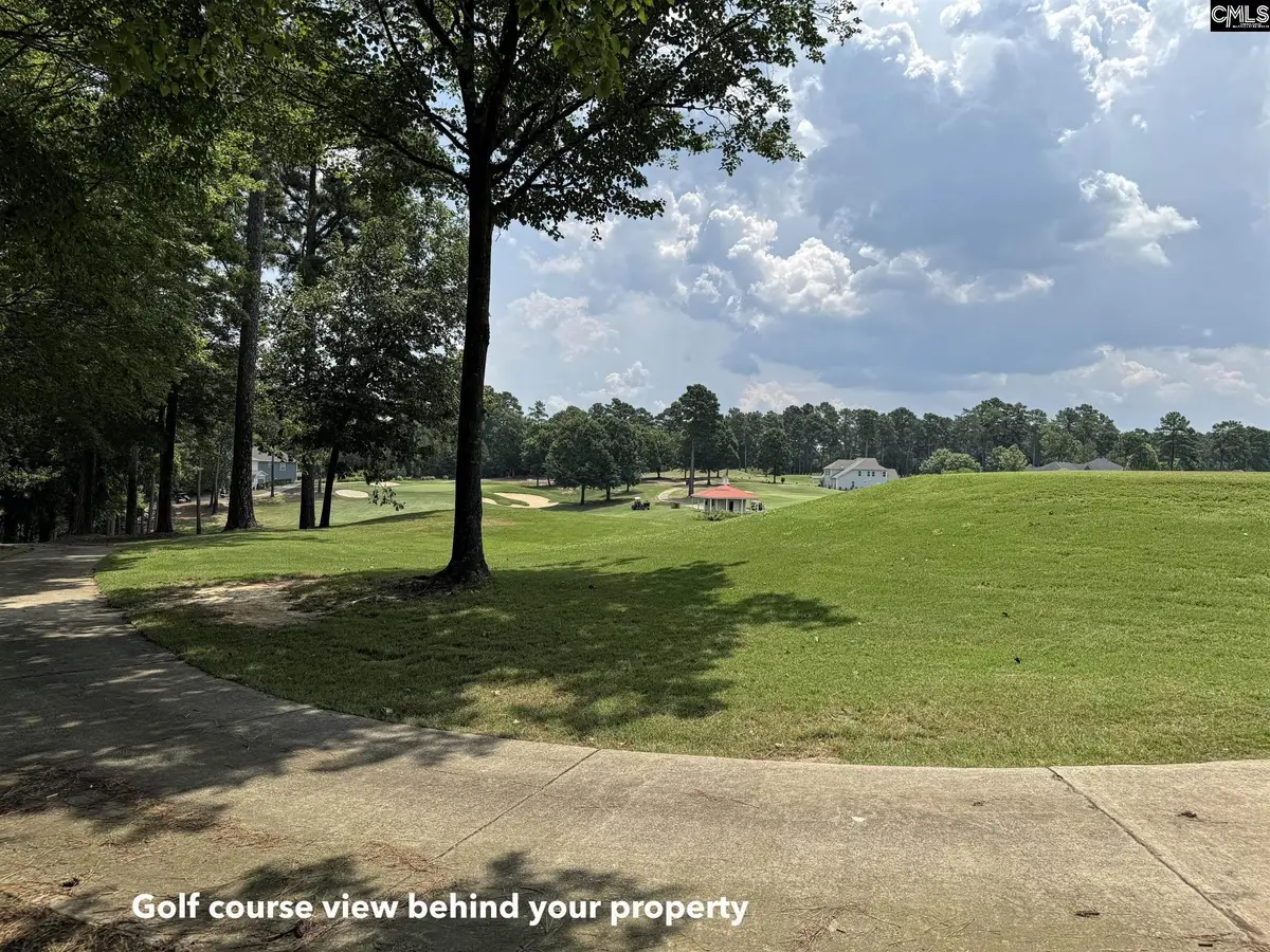 1240 Coogler Crossing Drive, Blythewood, SC 29016 - #1
