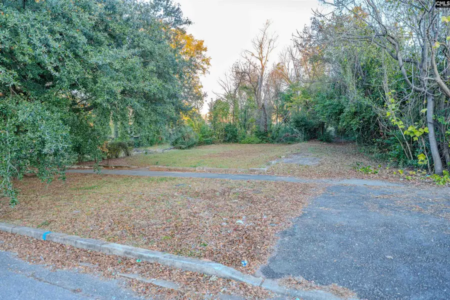 617 Richland Street, Columbia, SC 29201 - #2