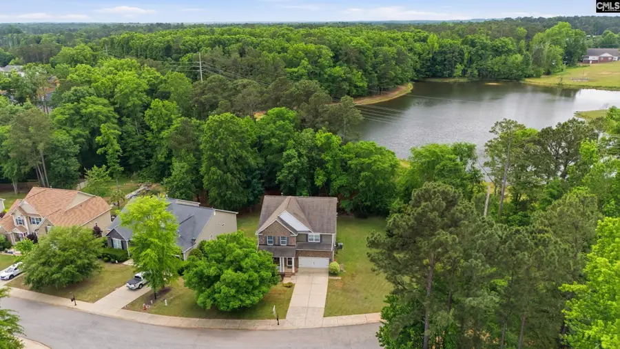 317 Eagle Claw Drive, Chapin, SC 29036 - #3