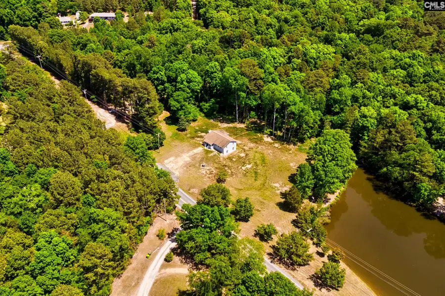 1133 Old Hilton Road, Chapin, SC 29036 - #3